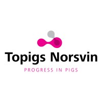 Topigs Norsvin Canada Logo