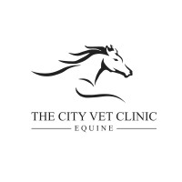 The City Vet Equine Clinic Logo