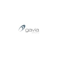 GRUPO GAVIA Logo