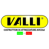 VALLI S.r.l Logo