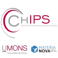 Plasma-Surface interaction chemistry Logo
