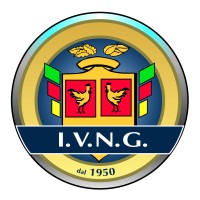 I.V.N.G. - Istituto di Vigilanza Logo