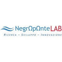NegroponteLab Logo