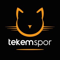 Tekemspor Logo