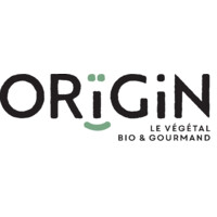 Origin Logo