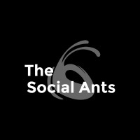 The Social Ants Logo