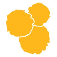 Sustainable Medical Services Logo
