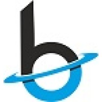 BlueWhale Consulting and Technologies Logo