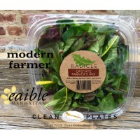Radicle Farm Company Logo