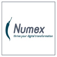 Numex Logo