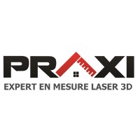 Praxi Logo