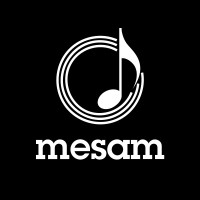 MESAM Logo