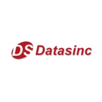 Datasinc Logo