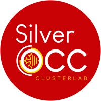 Clusterlab Silver Occitanie Logo