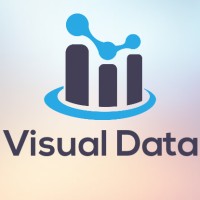 Visual Data Consultora Logo