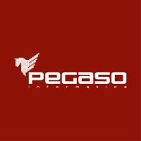Pegaso Informatica Srl Logo