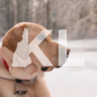 Kagan Lending LLC Logo