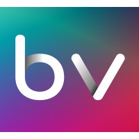Business Vibes Logo