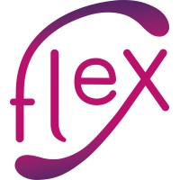 Flex Logo