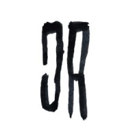 Jelle van de Ridder Logo