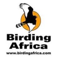 Birding Africa Tours and Cape Town Pelagics Logo