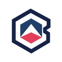 Branch Out Consulting Logo