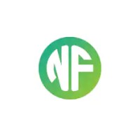 NiceFalcon Logo