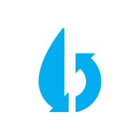 Boomerang Water Logo