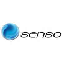 Senso Global Logo