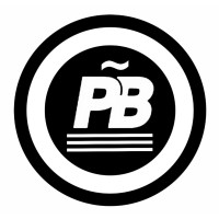 The Promo Boy Logo