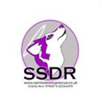 Saints Sled Dog Rescue Logo