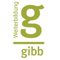 HF Informatik & Telekommunikation (TSBE) Logo