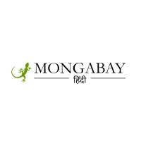 Mongabay Hindi Logo