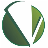 Vidal Proteção Logo