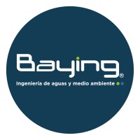 Baying SAS Logo