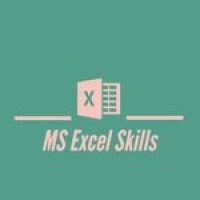 MS Excel Skills Logo