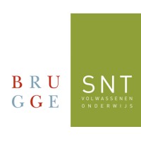 SNT Logo