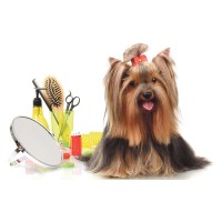 Puppy Love Grooming Logo