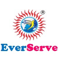 EverServe Consultants Private Limited Logo