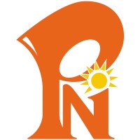 Platinum Networkers Logo