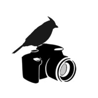 Muir Digital Imaging LLC Logo