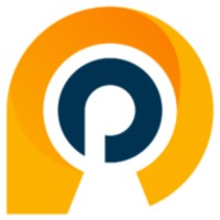 Profound Information Logo