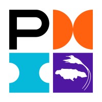 PMI Jamaica Chapter Logo