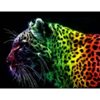 Painter SRL Logo