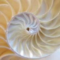 CNC360 Counseling & Nutrition Center Logo