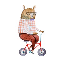 The Curious Bear Toy & Book Shop Logo