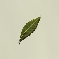 Medca Logo