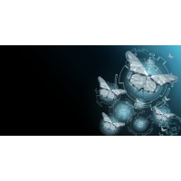 Liminal Discovery SL Logo