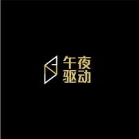 Shenzhen Night Drive Group Science and Technology CO., LTD Logo