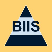 BIIS Consulting Logo
